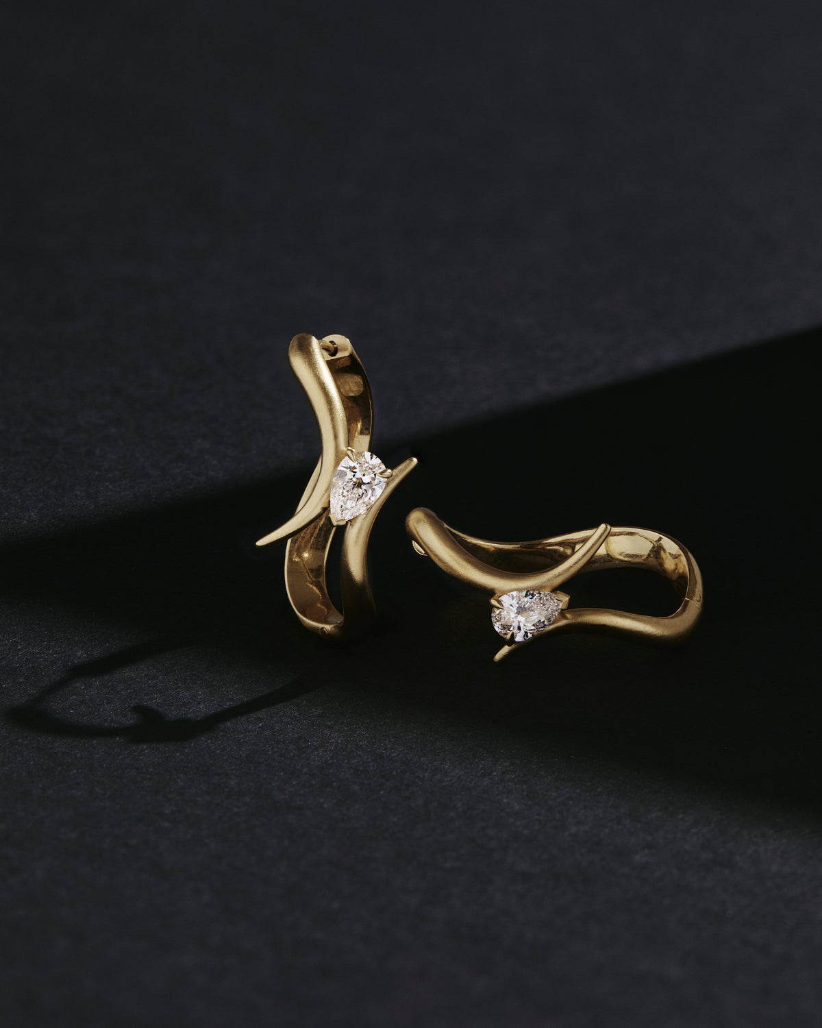 Eboris hoop earrings