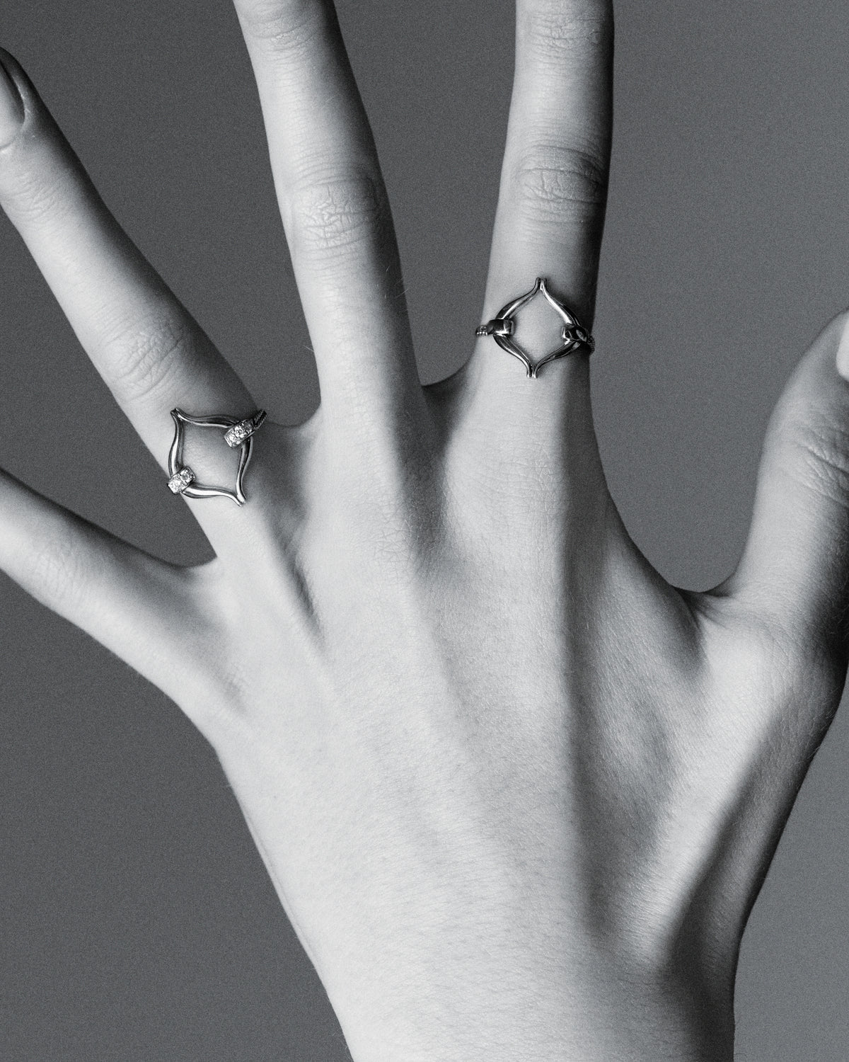 Pavé Eboris Link ring