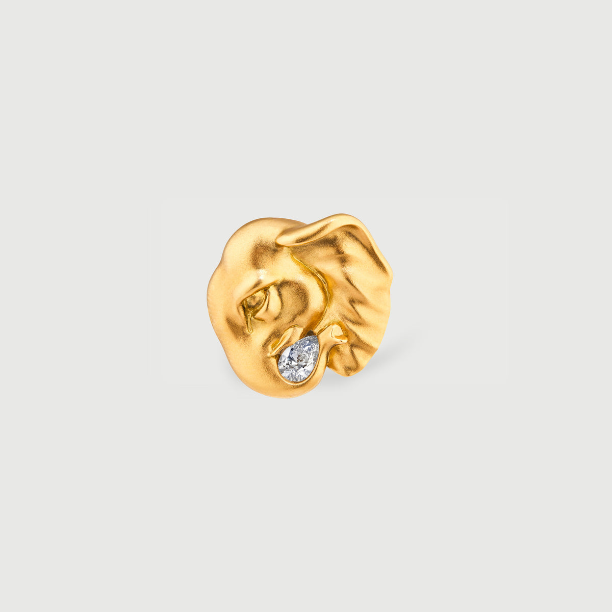 Elephant Ring